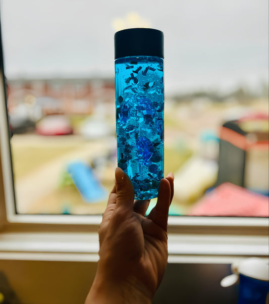 Under the Sea Adventure